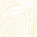 Beach House – Teen Dream (2010) Review