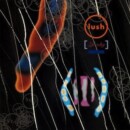 Lush – Spooky (1992) Review